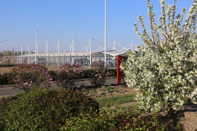 工廠綠化園林與園林景觀設(shè)計(jì)的融合實(shí)踐