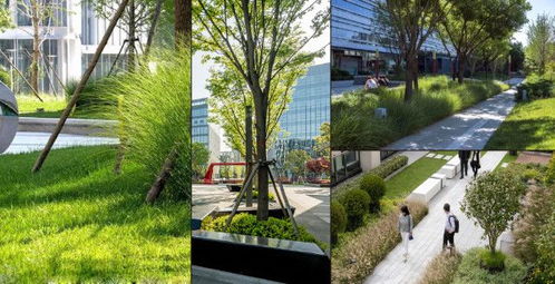 創新與融合 建科園林景觀在工業園區的生態實踐